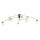 Люстра на штанге Citilux Fisher CL218193