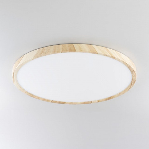 Накладной светильник Citilux Бейсик CL738322V