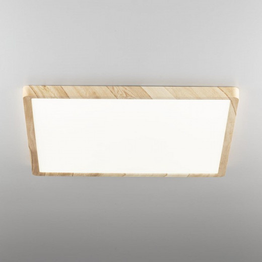 Накладной светильник Citilux Бейсик CL738K502V