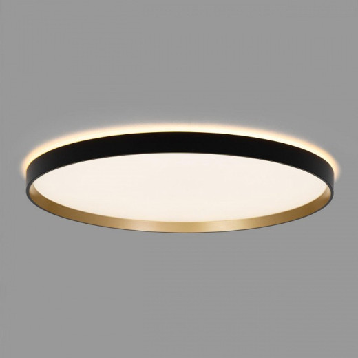 Накладной светильник Citilux ETALON CL750501R