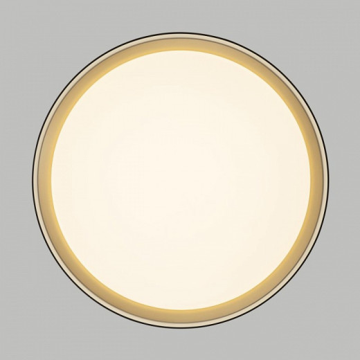 Накладной светильник Citilux BOSS CL751351G