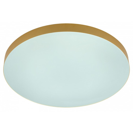 Накладной светильник Эра Relict Relict 48 Pult SPB-6-60-RC MG