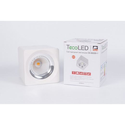 Накладной светильник Fiberli CH-SD220 12120101