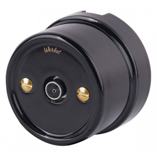 Винт Werkel Ретро (золото) WL18-22-01