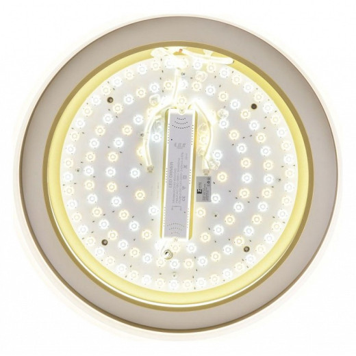 Накладной светильник Zortes Adel ZRS.1200.01