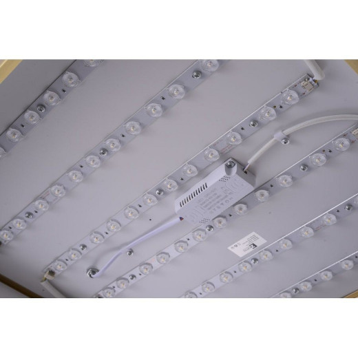 Накладной светильник Zortes Monna ZRS.1209.05