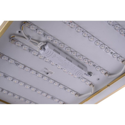 Накладной светильник Zortes Monna ZRS.1209.09