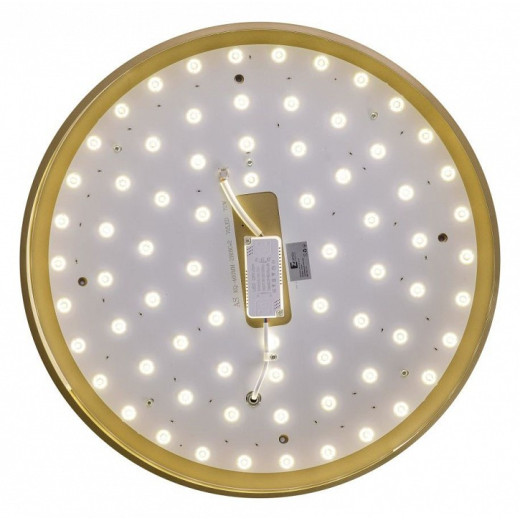 Накладной светильник Zortes Gabby ZRS.90610.50