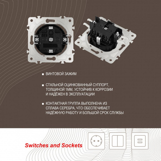 Розетка с заземлением и со шторкой, без рамки Arte Milano am-202 202.40-1.black