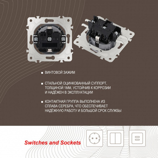 Розетка с заземлением и со шторкой, без рамки Arte Milano am-202 202.40-1.silver