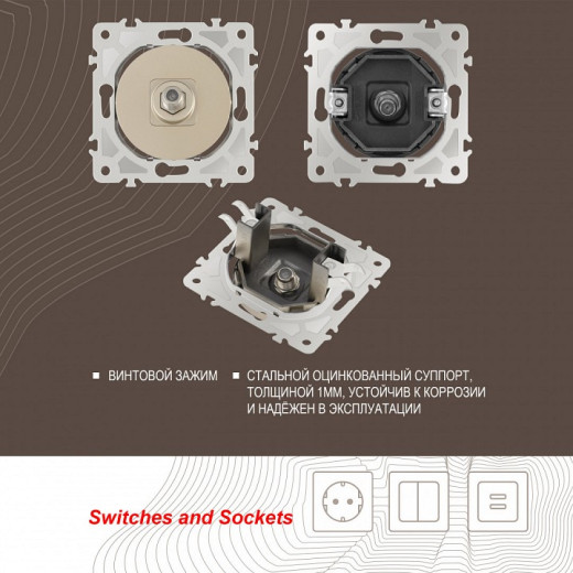 ТВ-розетка без рамки Arte Milano am-202 202.42-1.shampan