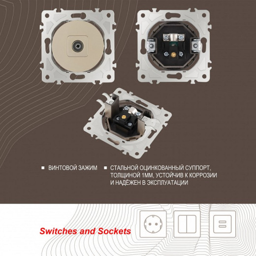 ТВ-розетка без рамки Arte Milano am-202 202.43-1.shampan