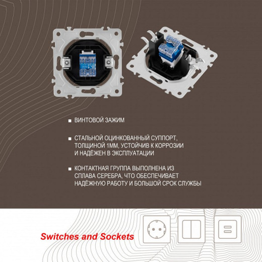 Розетка телефонная RJ-11 без рамки Arte Milano am-202 202.51-1.shampan