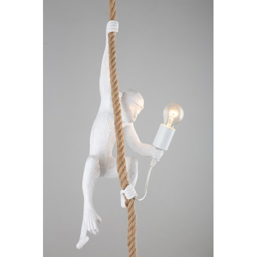 Подвесной светильник Aployt Magali APL.309.06.01