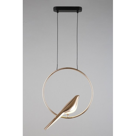 Подвесной светильник Aployt Astor APL.822.06.10