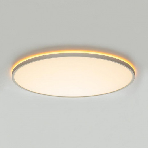 Накладной светильник Citilux NORMA CL749600