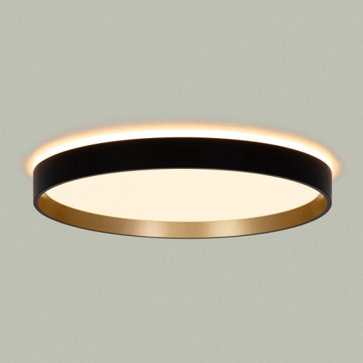 Накладной светильник Citilux ETALON CL750321R