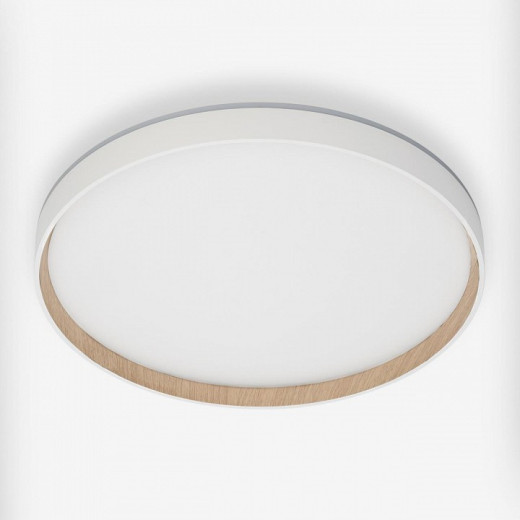 Накладной светильник Citilux ETALON CL750400R