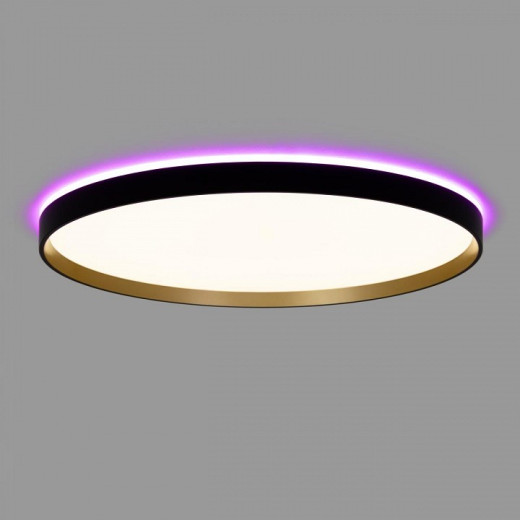 Накладной светильник Citilux ETALON CL750501R