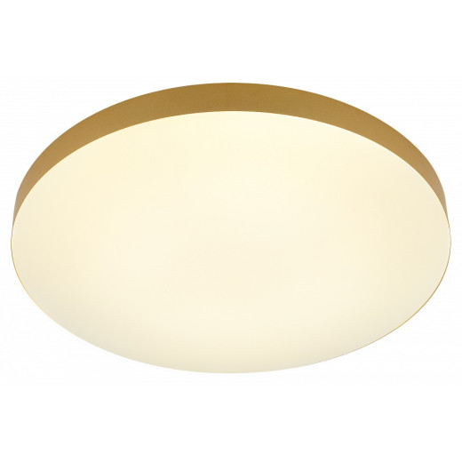 Накладной светильник Эра Relict Relict 48 Pult SPB-6-60-RC MG