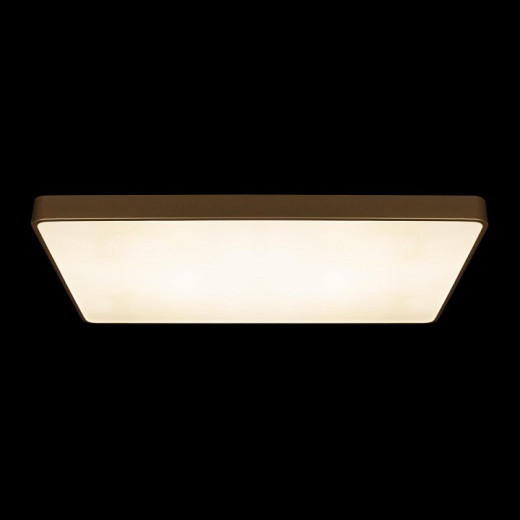 Накладной светильник Loft it Flims 10228/E