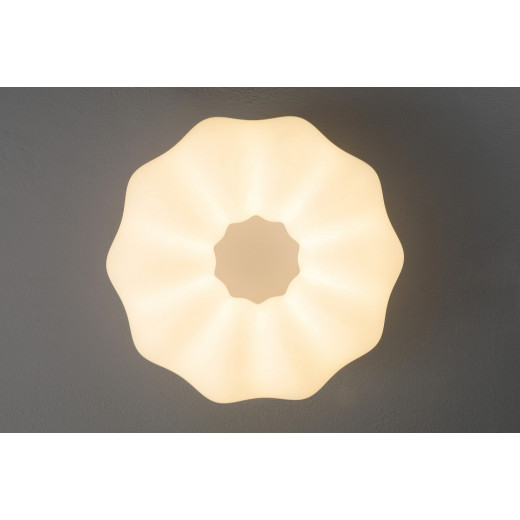 Накладной светильник Zortes Soft ZRS.1118.3