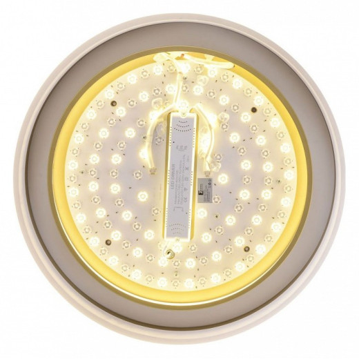 Накладной светильник Zortes Adel ZRS.1200.01