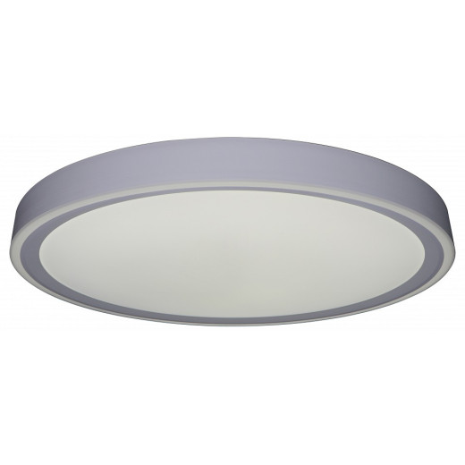 Накладной светильник Zortes Bella ZRS.1200.09