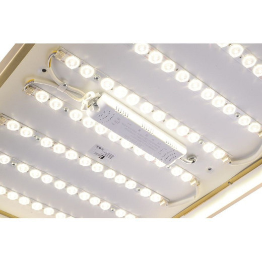 Накладной светильник Zortes Monna ZRS.1209.09