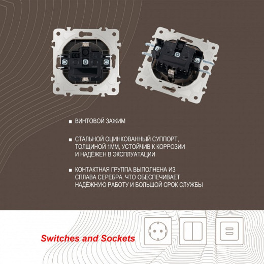 Розетка влагозащищенная с заземлением и со шторкой с крышкой Arte Milano am-203 203.41-1.shampan