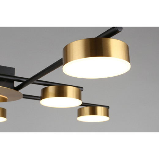 Потолочная люстра Aployt Delayn APL.042.07.56