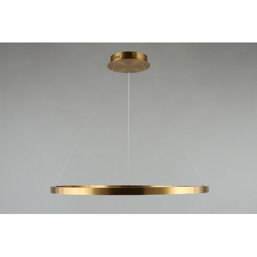 Подвесной светильник Aployt Noella APL.051.13.43