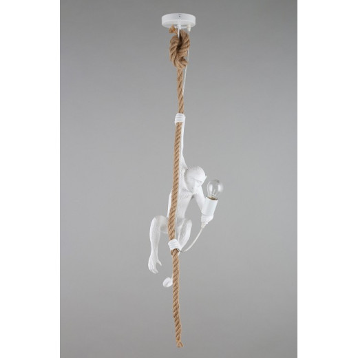 Подвесной светильник Aployt Magali APL.309.06.01