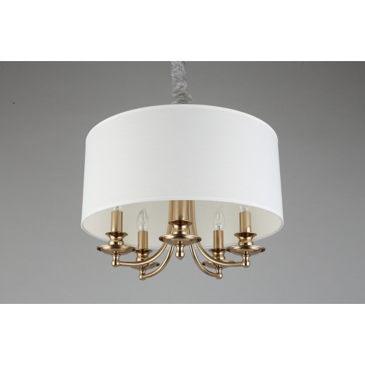 Подвесной светильник Aployt Berze APL.721.06.05