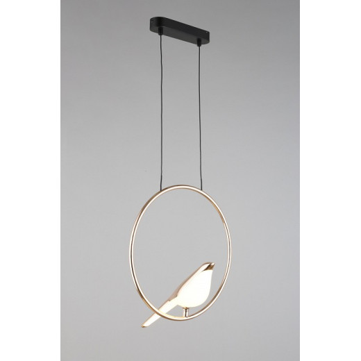 Подвесной светильник Aployt Astor APL.822.06.10