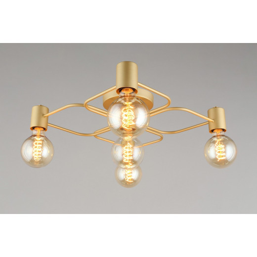 Потолочная люстра Aployt Elison APL.911.07.05