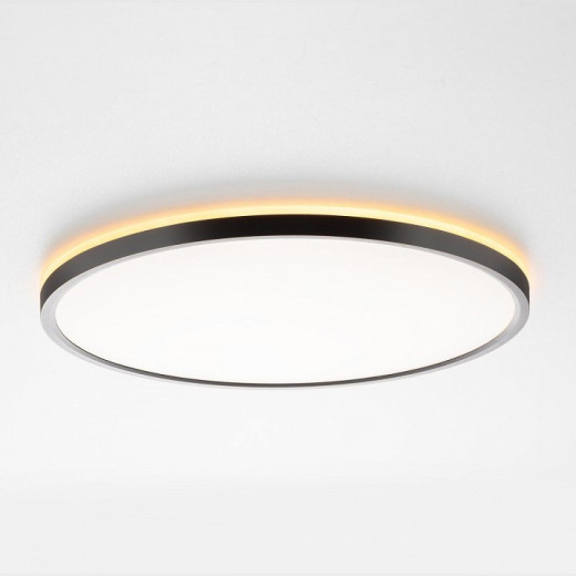 Накладной светильник Citilux NORMA CL749401