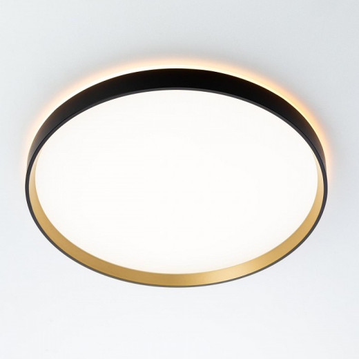 Накладной светильник Citilux ETALON CL750401R