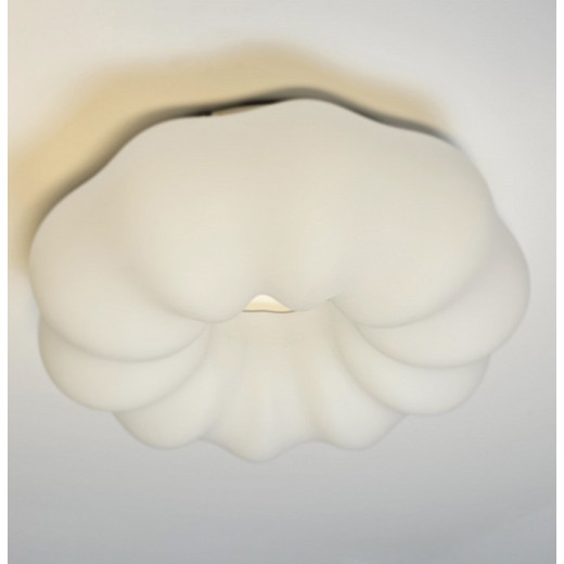 Накладной светильник Zortes Soft ZRS.1118.2