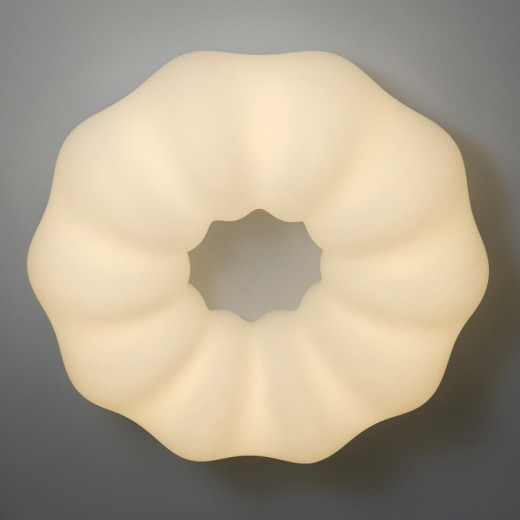 Накладной светильник Zortes Soft ZRS.1118.4