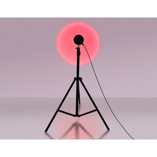 Настольная лампа декоративная Ambrella Light DE DE8387