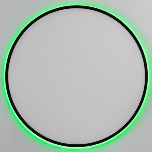 Накладной светильник Citilux NORMA CL749601