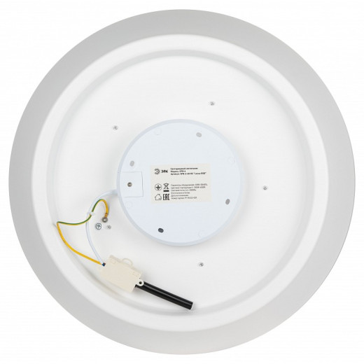 Накладной светильник Эра  SPB-6-60-RC Locus RGB
