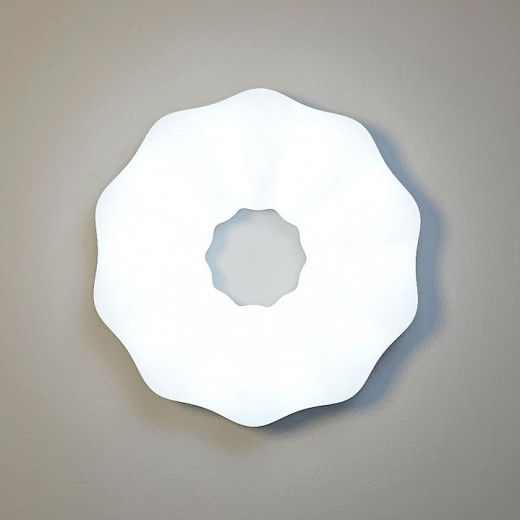 Накладной светильник Zortes Soft ZRS.1118.2