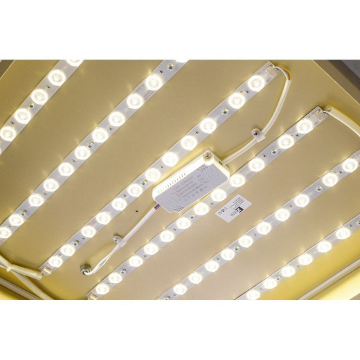 Накладной светильник Zortes Gabby ZRS.1215.04