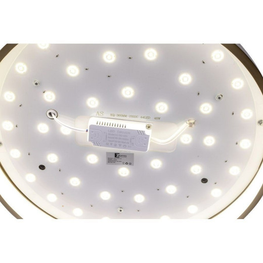 Накладной светильник Zortes Bella ZRS.27510.05