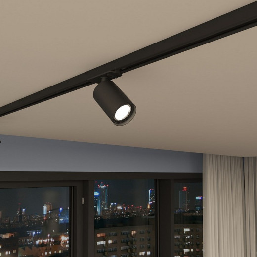 Светильник на штанге Denkirs DK620 DK6201-BK