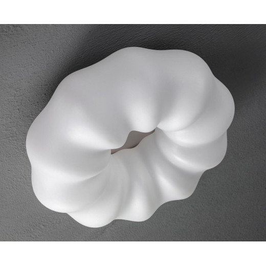 Накладной светильник Zortes Soft ZRS.1118.3