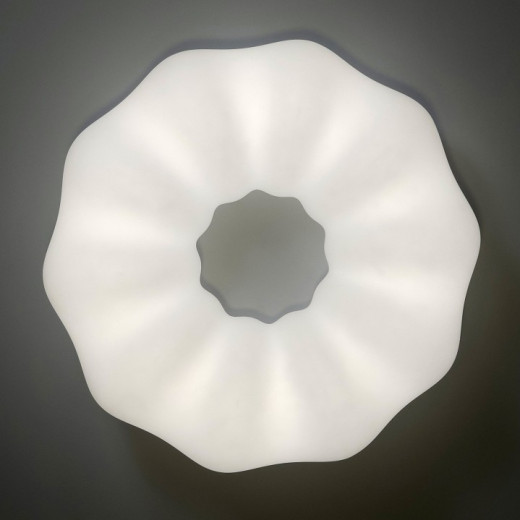 Накладной светильник Zortes Soft ZRS.1118.4