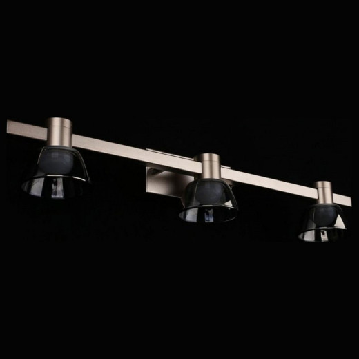 Бра Aployt Rezeda APL.788.01.03